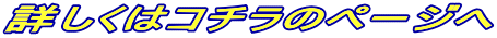 �ܤ����ϥ�����Υڡ����� 